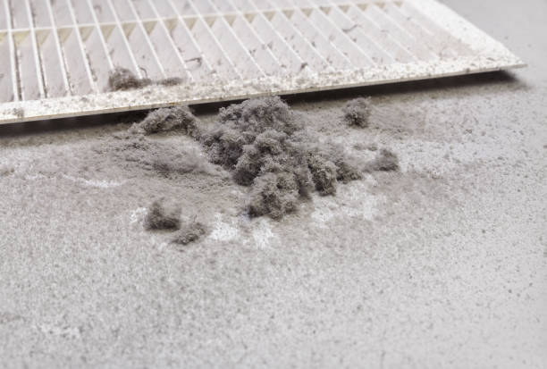 Best Best Air Duct Cleaning Company  in Apex, NC