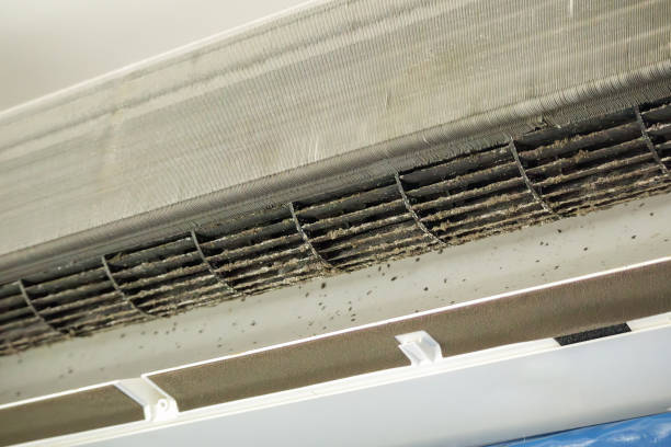 Best General Air Duct Cleaning  in Apex, NC
