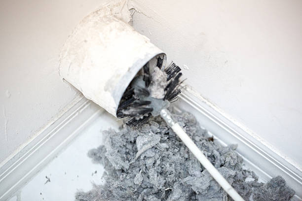 Best Affordable HVAC Duct Cleaning  in Apex, NC